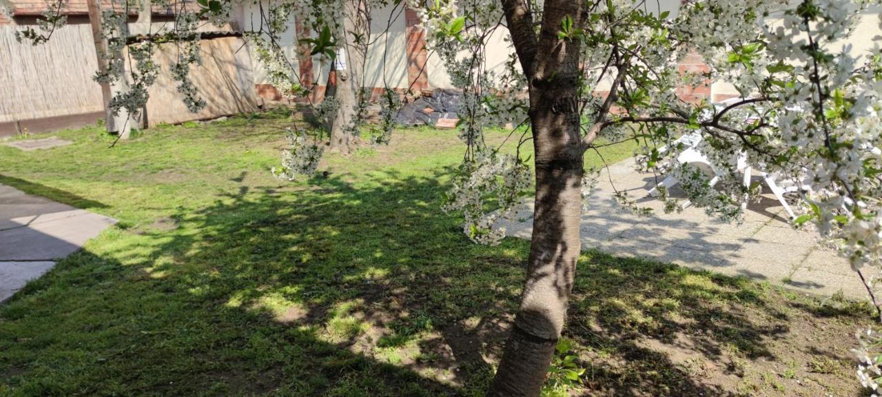 Orsi Apartman / Vendeghaz Kecskemet Luaran gambar